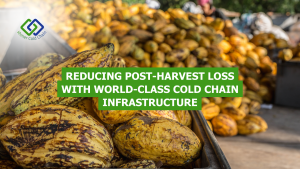 Read more about the article Reducing Post-Harvest Loss with World-class Cold Chain Infrastructure